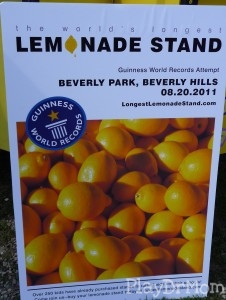 The Longest Lemonade Stand poster