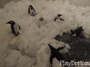 Penguins in fake (diaper) snow
