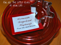 gingerbread playdough gift pack