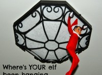 What's your Elf been up to?