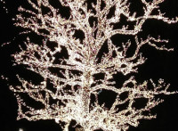 PlayDrMom's Christmas lights scavenger hunt