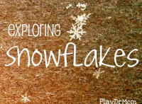 exploring snowflakes