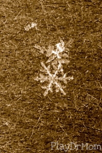 pretty snowflake