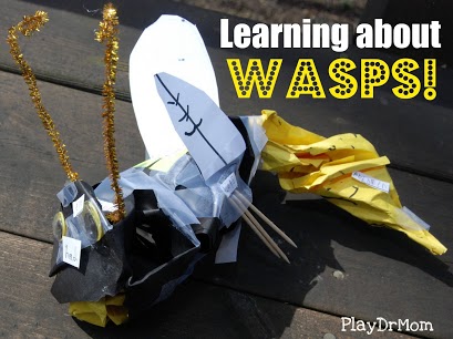 Learning about Wasps