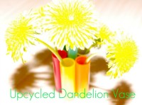 dandelion vase