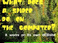 a little bit of spider humor - blogger style! PlayDrMom shares Spider activities to go along with the package she received as part of the Love Books Summer Book Exchange.