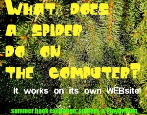 a little bit of spider humor - blogger style!