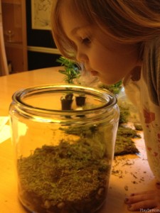 Honor checks out the starting layers in the fairy terrarium