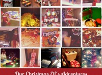 Elf Adventures 2013