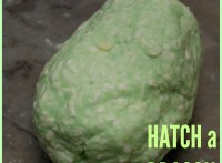 Hatch a Dragon (DIY!)
